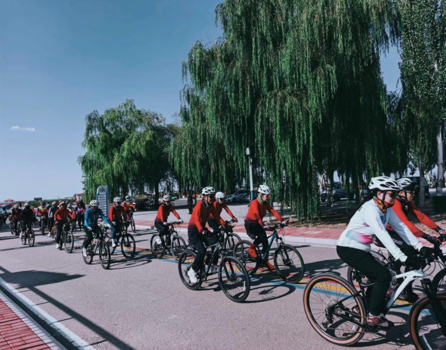 车行湿地·骑遇乌梁素海 自行车骑行活动顺利举办相关图片